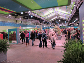 flowershow-2013-294