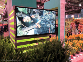 flowershow-2013-295