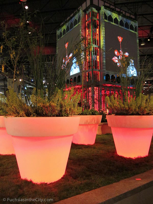 flowershow-2013-377