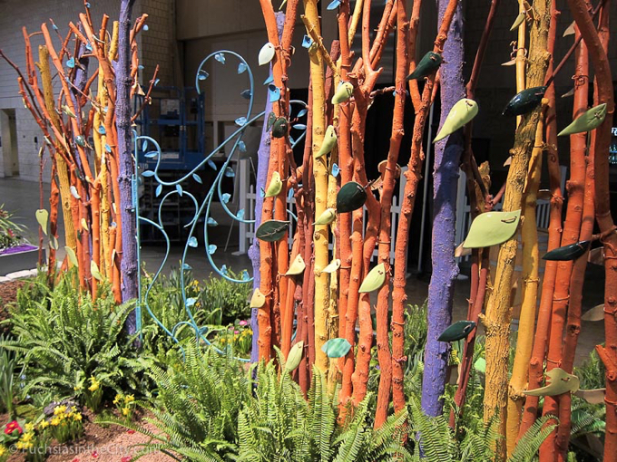 flowershow-2013-90
