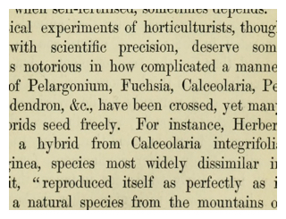 fuchsia-on-the-origin-of-species-big