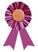 fuchsia-ribbon
