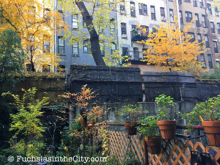 gold-in-the-garden-01