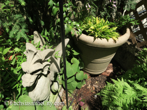 great-garden-chore-of-2015-21