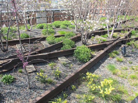highline-2012-04-11