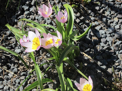highline-2012-04-19