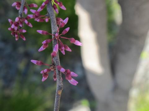 highline-2012-04-2