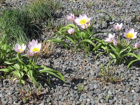 highline-2012-04-21