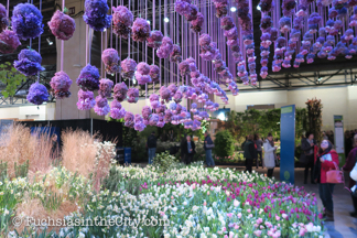 holland-2017-philly-flower-show-06
