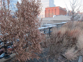 late-high-line-48