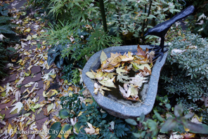 leavesofautumn-15