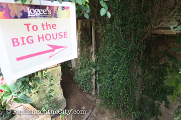 logees-greenhouses-23