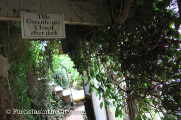 logees-greenhouses-32
