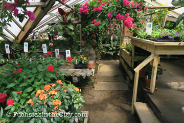 logees-greenhouses-9