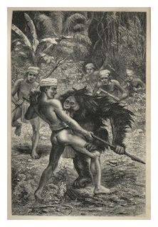 malay-archipelego-09