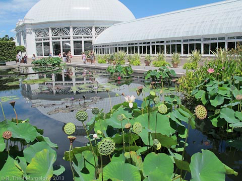 nybg-monetsgarden-11