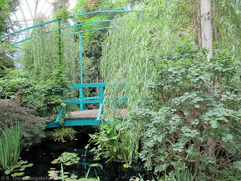 nybg-monetsgarden-15