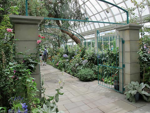 nybg-monetsgarden-17