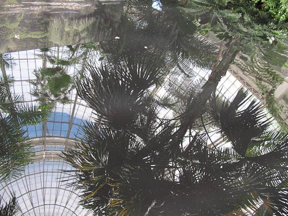 nybg-monetsgarden-3