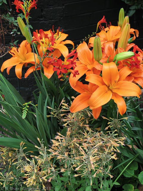 nybg-monetsgarden-38