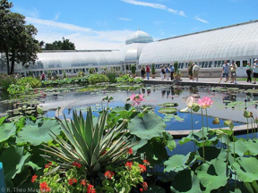 nybg-monetsgarden-4