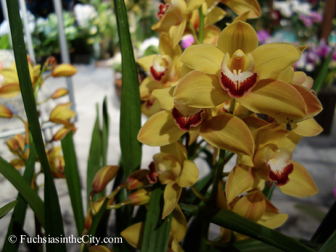 pfs-2014-articulture-226