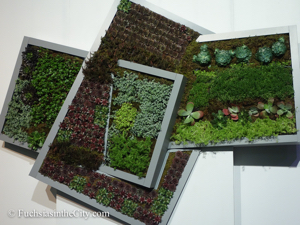pfs-2014-articulture-268