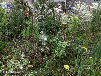 pfs-2014-articulture-368