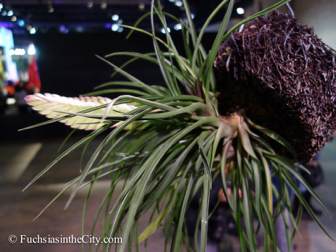 pfs-2014-articulture-513