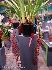 pfs-2014-articulture-550
