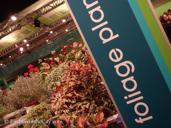 pfs-2014-articulture-570