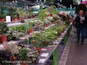 pfs-2014-articulture-571