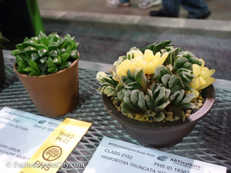 pfs-2014-articulture-599