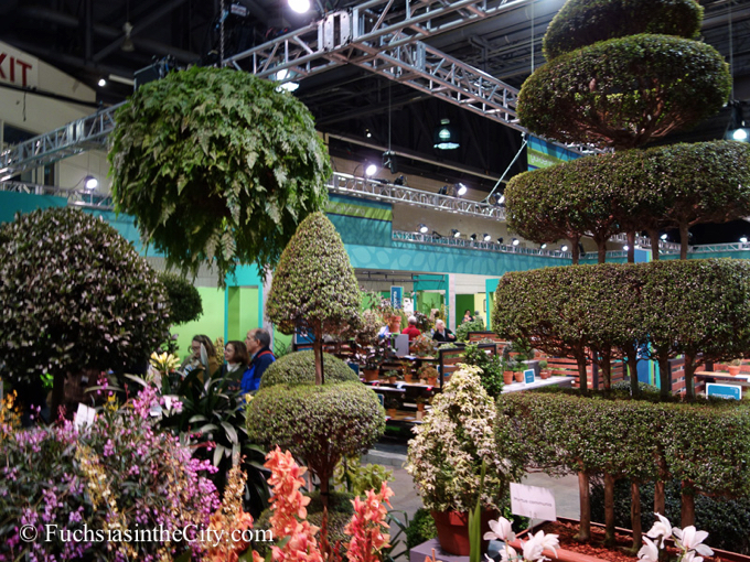 pfs-2014-articulture-607