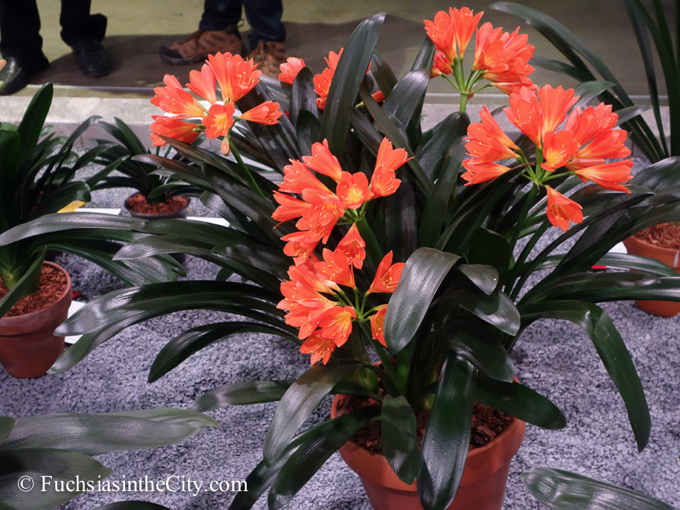 pfs-2014-articulture-640
