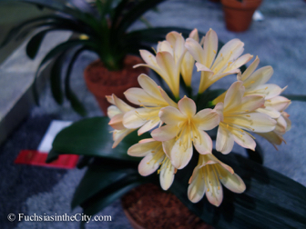 pfs-2014-articulture-644