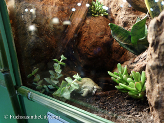 pfs-2014-articulture-663