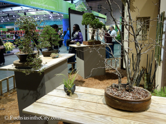 pfs-2014-articulture-665