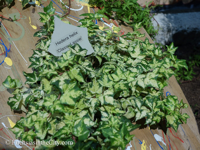 pfs-2014-articulture-697