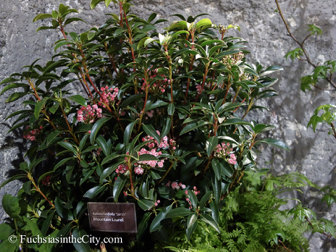 pfs-2014-articulture-768