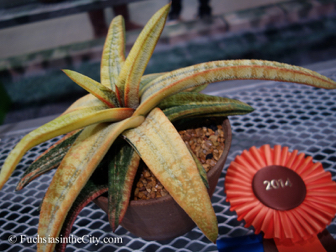 pfs-2014-articulture-897