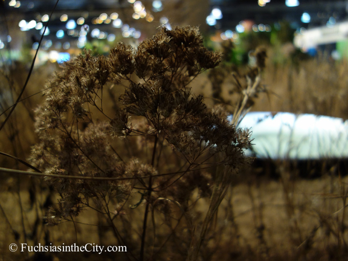 pfs-2014-articulture-95