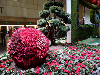 pfs-2014-articulture-959