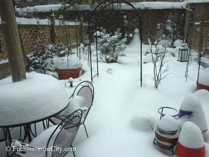 prisoners-of-the-snow-1