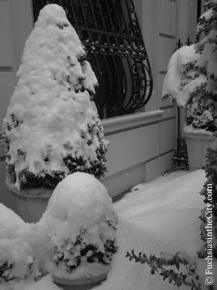 prisoners-of-the-snow-13