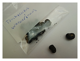 prisoners-of-the-snow-15