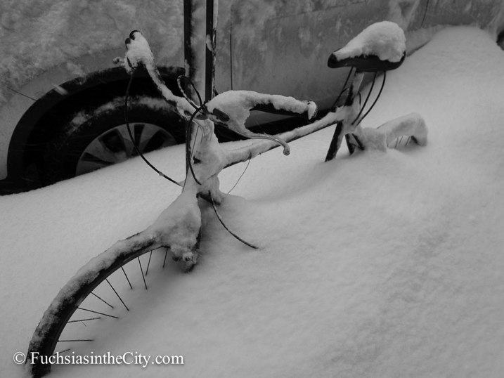 prisoners-of-the-snow-6