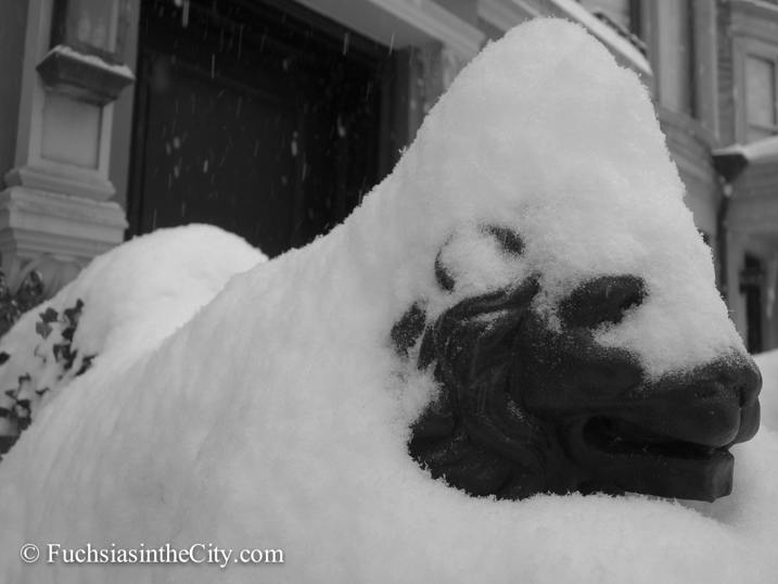 prisoners-of-the-snow-8