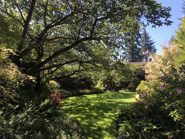 The Fuchsias of PowellsWood 09