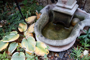 winter-fountain-2